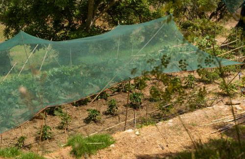 Ilyessa Cottages - Foto 27