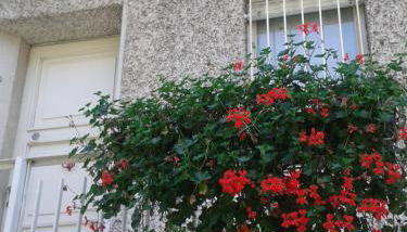 Oasi La Francoise - Foto 2