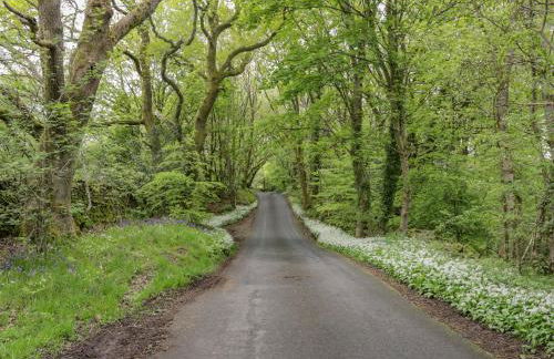 Danes Court - Foto 33