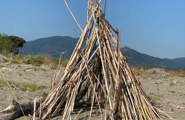 Residence Santa Lucia, studio avec piscine , vue mer et pied dans l'eau , Moriani-Plage - Foto 40