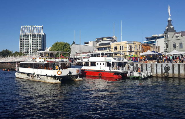 Excursión privada a Valdivia - Foto 2