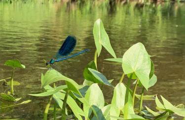 kontener nad rzeką - Foto 15