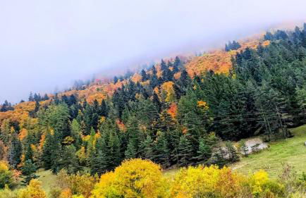 Studio tout équipé, piscine chauffée, départ skis aux pieds - Photo 14