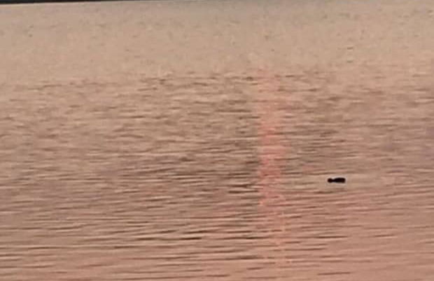 Holiday Apartment Paradise by the Lake - Foto 18