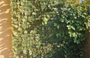 Escale marine - Foto 54