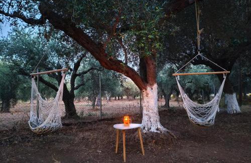 Petrohori before midnight - Foto 48