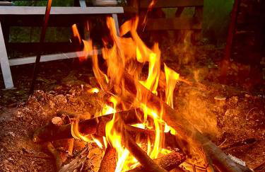 Siedlisko Nad Potokiem - Foto 6