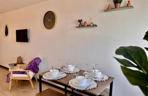 " Studio Zen Lourdes " 4 personnes - Centre Ville - Foto 14