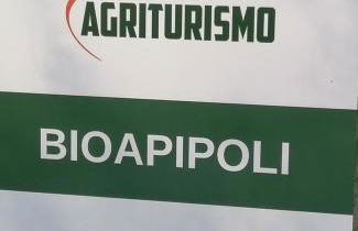 Agriturismo bio Apipoli - Foto 5