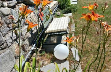 The Green Owl - Foto 15