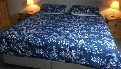 Tyddyn Perthi Farm - Foto 3