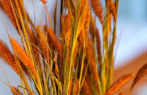 Priory Bay Escapes - Visum - Photo 46