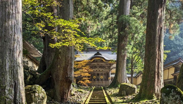 Explora la ciudad de Fukui y el templo Eiheiji - Excursión de día completo - Foto 3