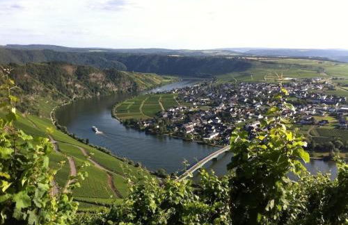 familienfreundliche Ferienwohnung Weingarten in Piesport - Foto 18