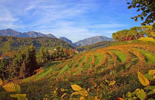 La Casa Di Bea - Foto 24