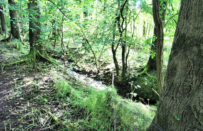 3 Bedrooms - 2 Bath Rooms - Dog Friendly - Parking - Foto 23