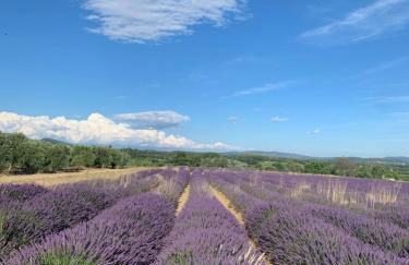 Appartement 1 chambre avec piscine - Foto 34