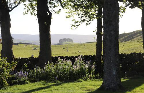 Old Camms Holiday Cottages - Photo 35