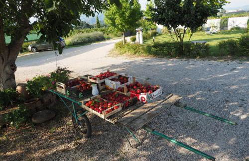 Agriturismo Fior di Maggio - Foto 26