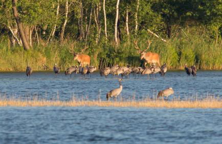 Ferienwohnung Maribell Jabel - Foto 13
