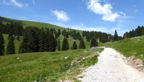 Baita La Ciamorza Dolomiti - Veneto - Foto 3