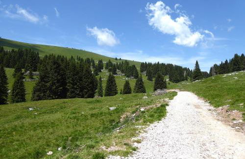 Baita La Ciamorza Dolomiti - Veneto - Foto 3