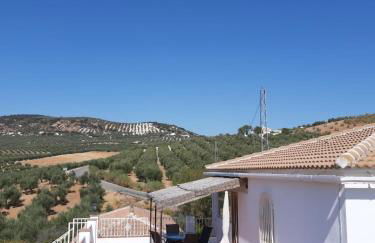 Casa Pino Solo - Foto 34