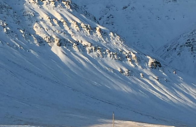 Steinn Farm Private Apartment - Photo 10