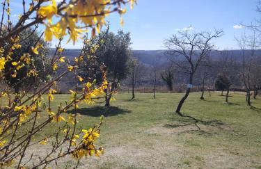Gîtes des Deux Vallées La Borieta du Causse - Rocamadour - Foto 15