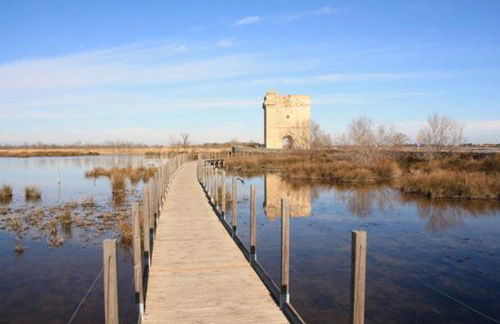 Vacances en Camargue proche de la mer climatisé - Foto 18