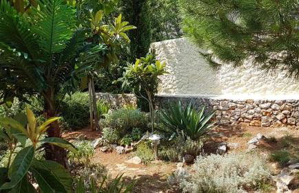 Apartments Villa Temer - Photo 67