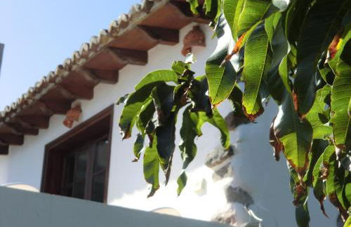 Villa Delfines - Adults Only - Foto 7