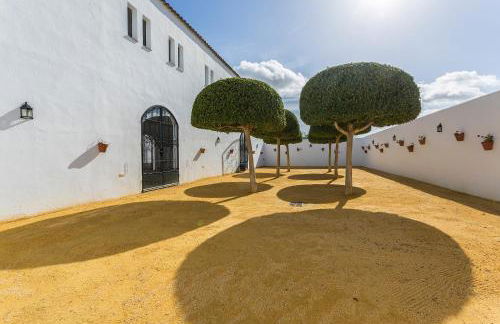 Cortijo Malos Humos Piscina - Foto 65