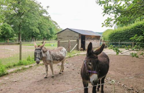Lee House Cottage - Photo 48