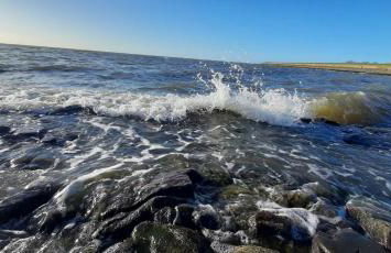 Apart-Lachmoewe-im-Moewennest-Tossens - Foto 20