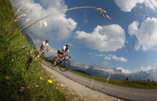 Al Casello - Foto 49