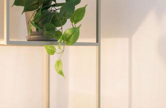 Cozy 3 bedrooms Buenos Aires - Mirable PM - Foto 14