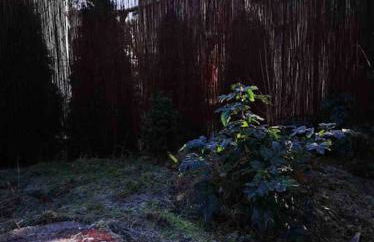 FEWO PARTNERS Haus Clemens - Gemütliches Holzhaus mit Grundstück nahe Badesee - Photo 25