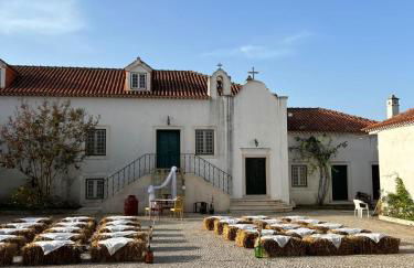 Santuário SOS Animal - Foto 1