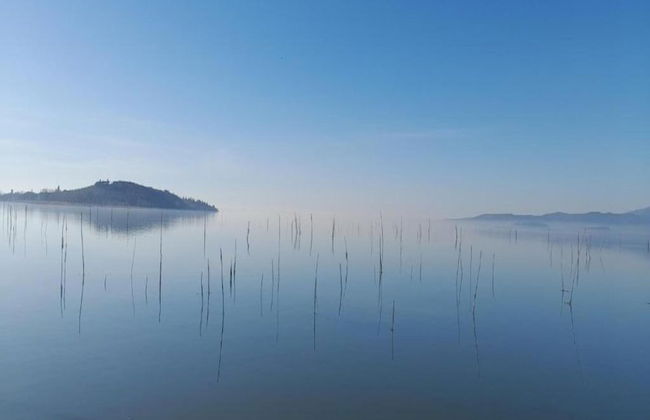 Apartment in Umbria Near Lake Trasimeno - Photo 34