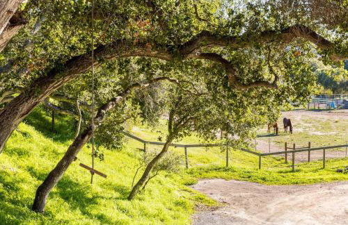 Vintage Spartan-retro Farm Stay W Ev Charger - Foto 34