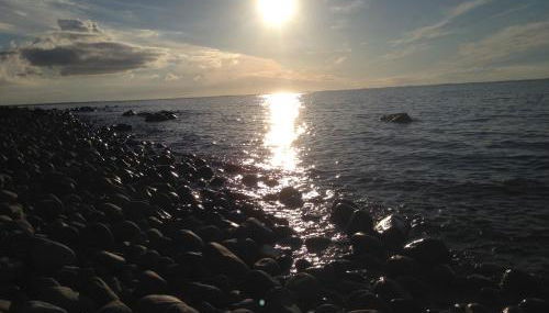 Fewo's Kiekut - Foto 5