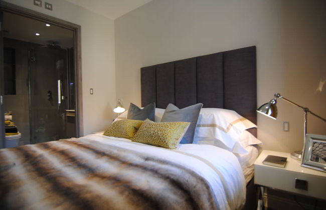 Lux St James Park Apartment Central London FREE WIFI by City Stay Aparts London - Foto 10