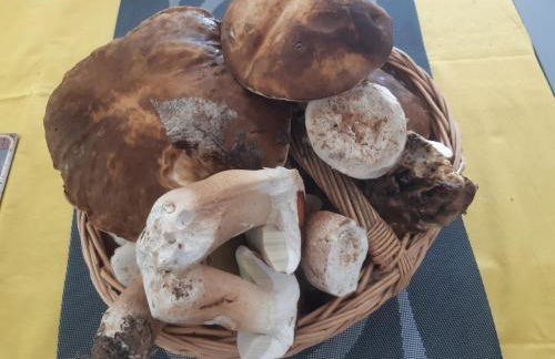 grande girondine aux portes du perigord - Foto 23