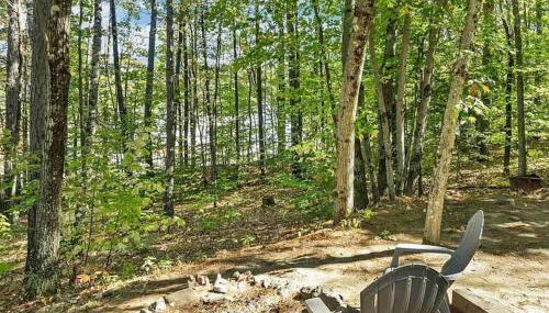 NEW Family & Pet Friendly Home in White Mountains NH - Foto 4