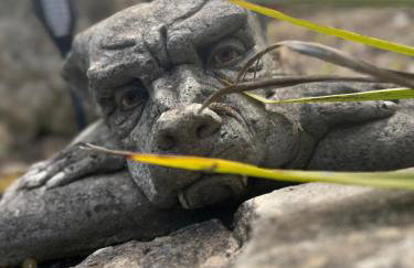 Caesars Lodge - Photo 49