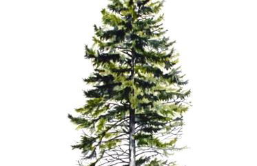 Pavliani House - Foto 18