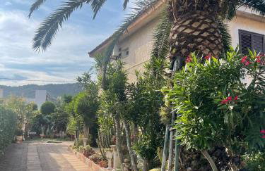 Villa delle palme - Foto 5