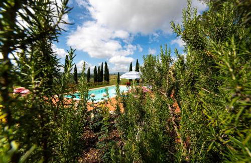 Il Pucchio - Foto 28