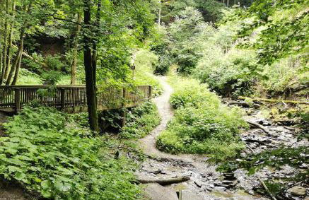 Fewo-BergSeeOase - Foto 31